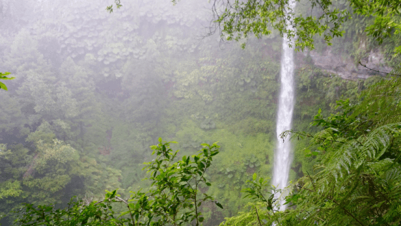 How to Find Salto el Claro in Pucón