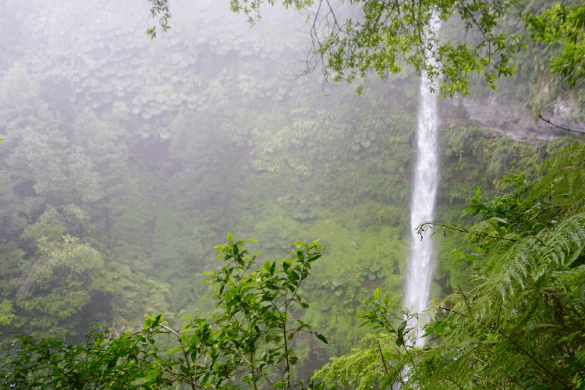 How to Find Salto el Claro in Pucón