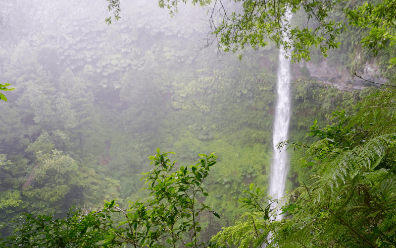 How to Find Salto el Claro in Pucón