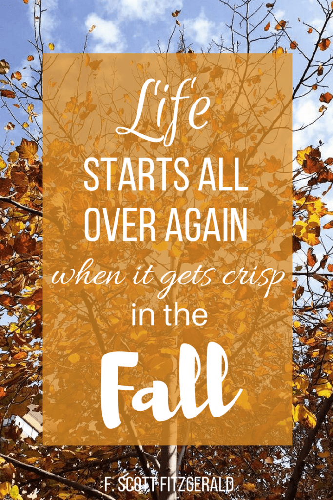 Fall is one of my favorite seasons! Life starts all over again when it gets crisp in the fall.