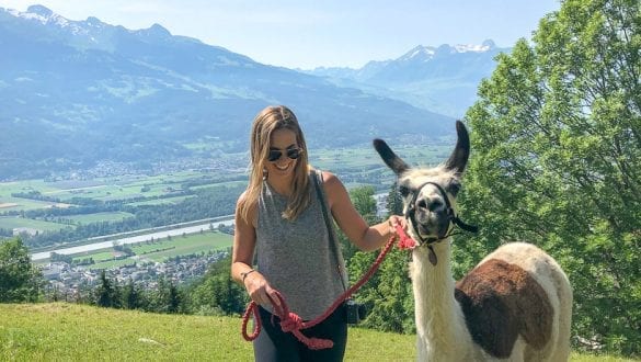 Llama Trekking in Liechtenstein