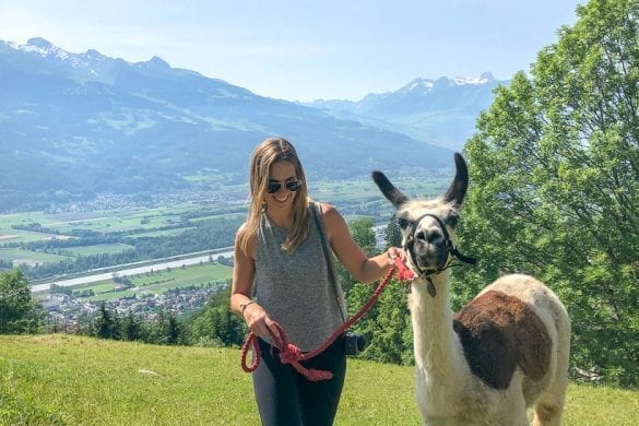 Llama Trekking in Liechtenstein