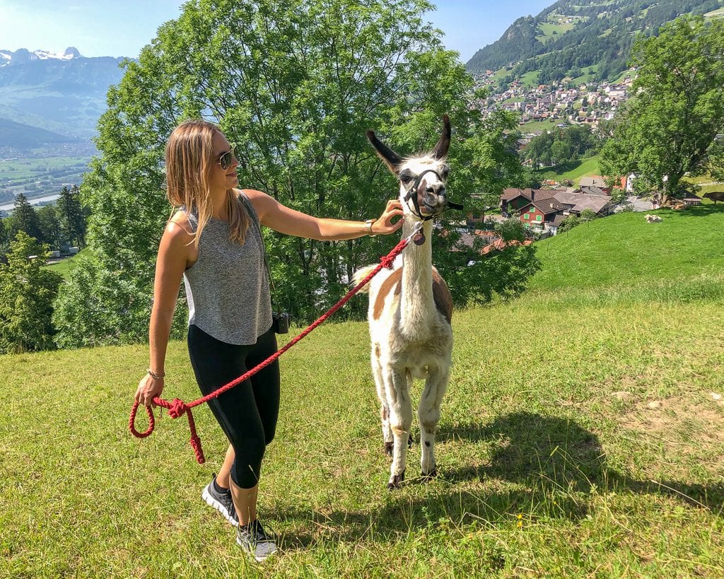 Llama Trekking in Liechtenstein
