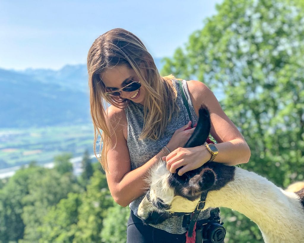 Llama Trekking in Liechtenstein